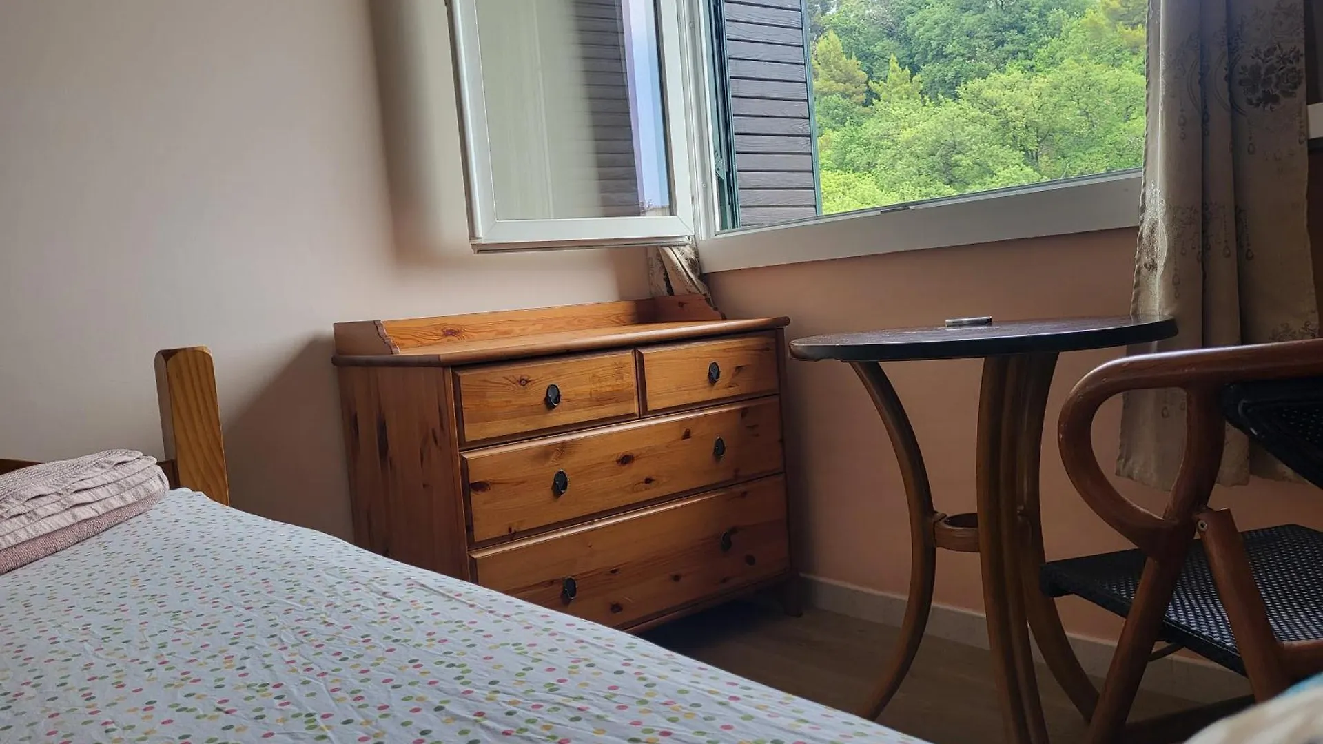Private Room-1 In Hannana Apartment- 2 Min Walk To Tram 12 Min To Nice Train Station 15 Min To Massena Place 0*,  Francia